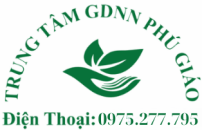 Dạy lái xe thầy vương 